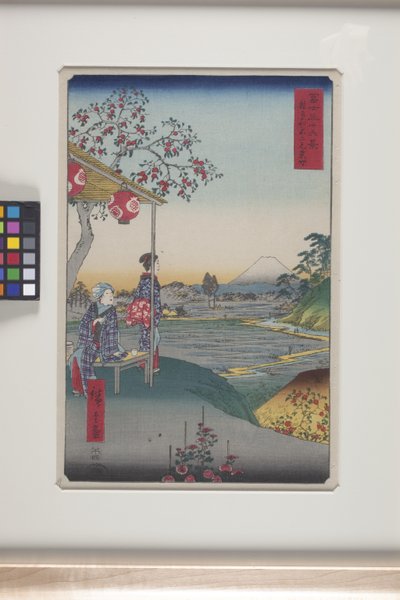 Casa de té con vistas al monte Fuji en Z?shigaya (Z?shigaya Fujimi Chaya) (xilografía en color) de Ando or Utagawa Hiroshige