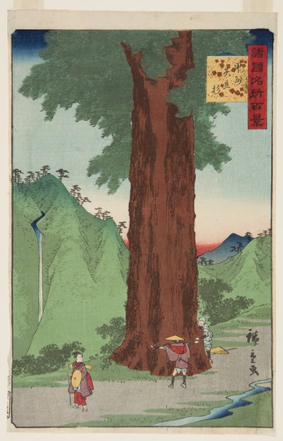 El cedro Yatate en la provincia de Kai de Ando or Utagawa Hiroshige