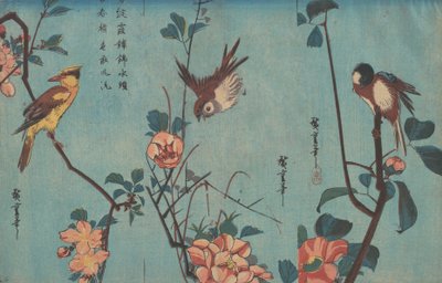 Carbonero y camelias, gorrión y rosas silvestres y oropéndola de nuca negra y flores de cerezo de Ando or Utagawa Hiroshige