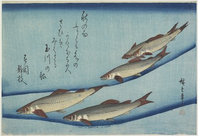 Trucha de Ando or Utagawa Hiroshige