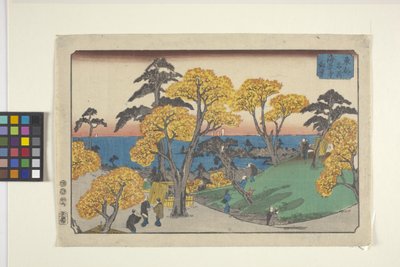 Vistas de Yedo (xilografía en color) de Ando or Utagawa Hiroshige