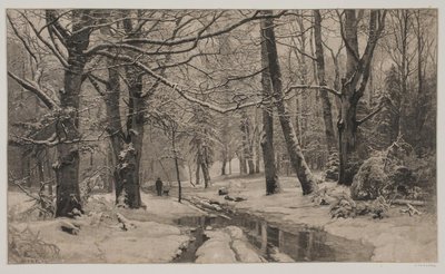 Día de invierno en un bosque de André Bork