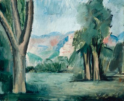Paisaje de Provenza de Andre Derain