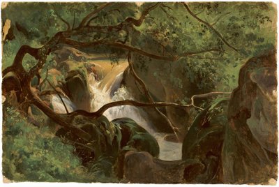 Interior del bosque con una cascada, Papigno, 1825-1830 de André Giroux