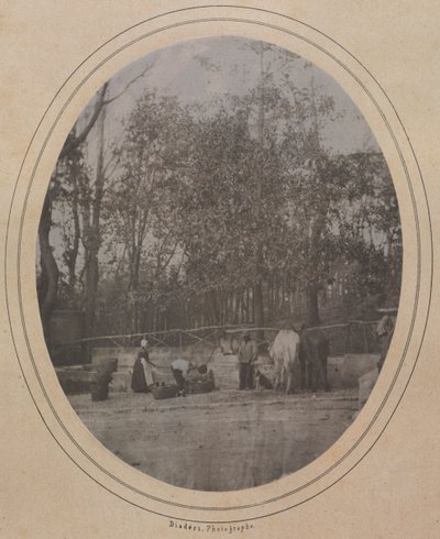 Escena de pueblo en el sur de Francia, c. 1853 de Andre Adolphe Eugene Disderi