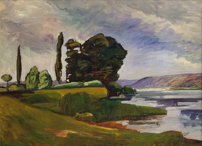 El Sena, cerca de Chatou, c. 1899-1900 (óleo sobre lienzo) de Andre Derain