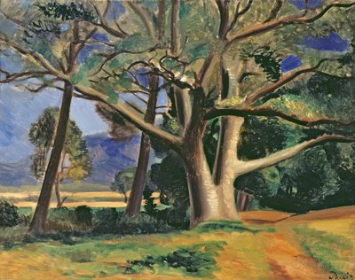 El gran árbol, c.1929-30 (óleo sobre lienzo) (véase también 287578) de Andre Derain