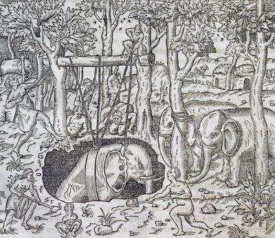 Caza de elefantes en la isla de Java, grabado de Cosmología Universal, por Andre Thevet (1504-1592), París de Andre Thevet