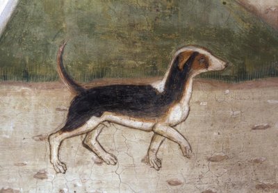 Atri, Catedral, Perro de Andrea Delitio