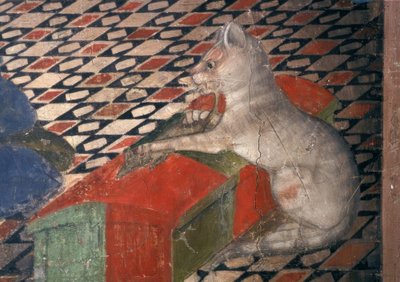 Catedral de Atri, gato de Andrea Delitio