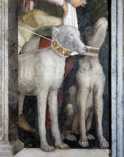 Perros molosos (detalle) de Andrea Mantegna