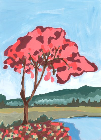 Acacia, 2024 (acrílico sobre papel) de Andrea Mejia
