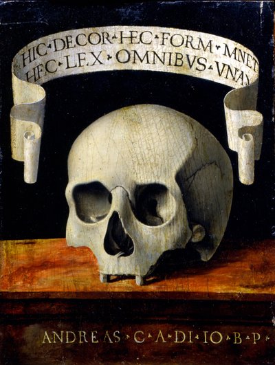 Retrato de un Hombre - Memento Mori de Andrea Previtali called Cordeliaghi