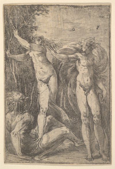 Apolo y Dafne, ca. 1538-40 de Andrea Schiavone