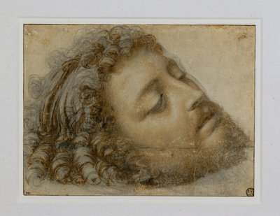 Cabeza de San Juan Bautista ... de Andrea Solario