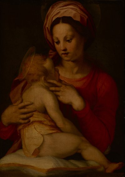 La Virgen con el Niño (óleo sobre tabla) de Andrea del (attr.to) Sarto