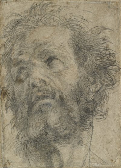 Cabeza de un hombre de Andrea del Sarto
