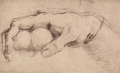 Una mano de Andrea del Sarto