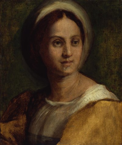  de Andrea del Sarto