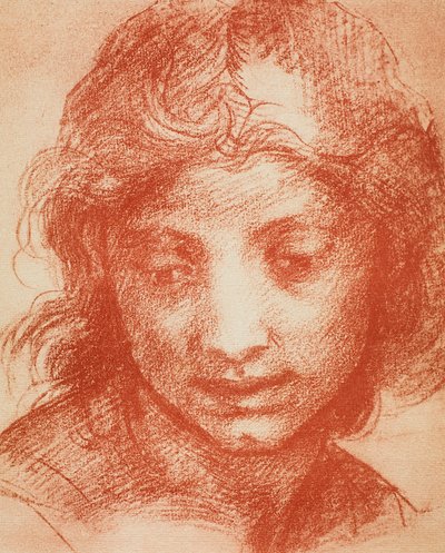 Cabeza de niño de Andrea del Sarto