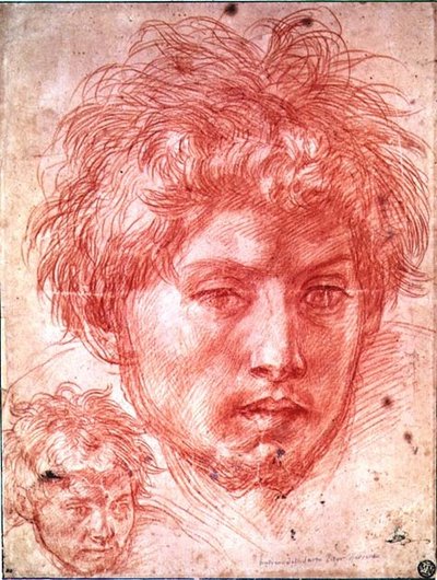 Cabeza de un hombre de Andrea del Sarto
