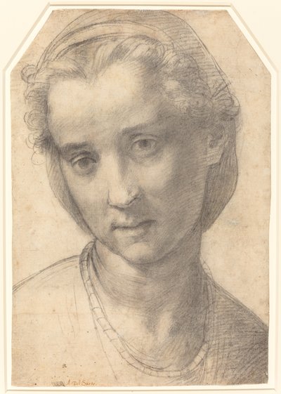 Cabeza de una Mujer de Andrea del Sarto