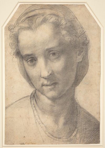  de Andrea del Sarto