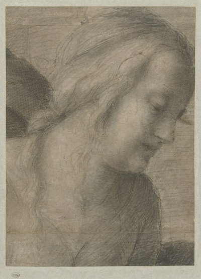 Cabeza de María, en una adoración de Andrea del Sarto