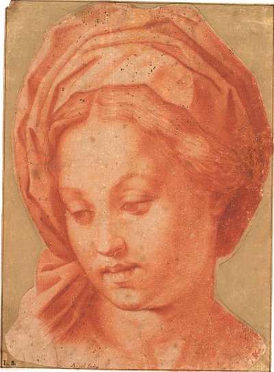 Madonna Borghese de Andrea del Sarto