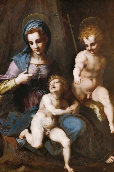 Madonna y el Niño con el infante San Juan Bautista de Andrea del Sarto
