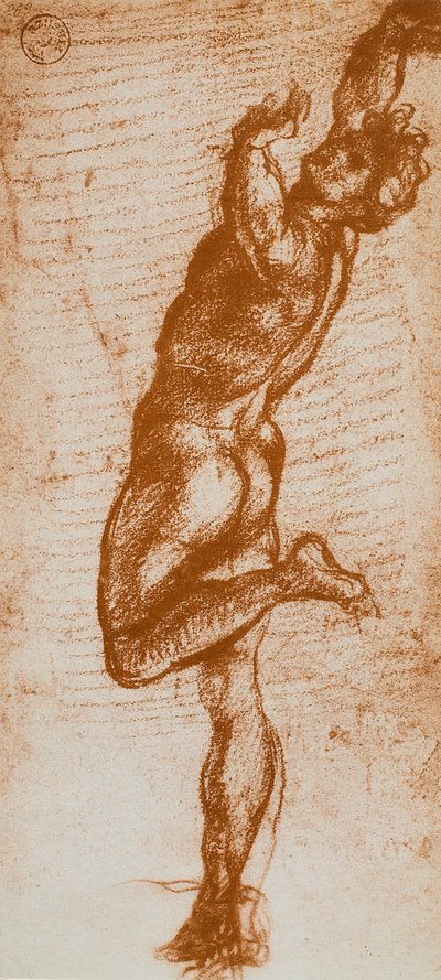 Figura masculina de Andrea del Sarto