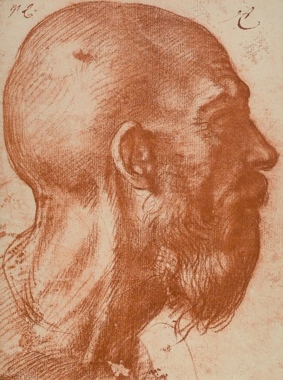 Cabeza de hombre en perfil de Andrea del Sarto
