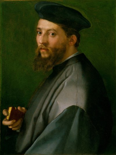 Retrato de un hombre de Andrea del Sarto
