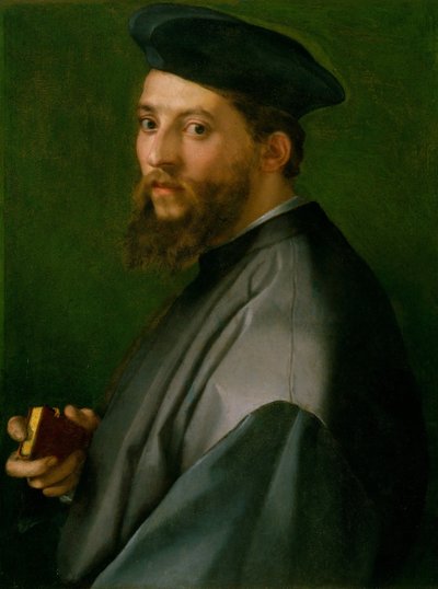 Retrato de un hombre, 1528-30 de Andrea del Sarto