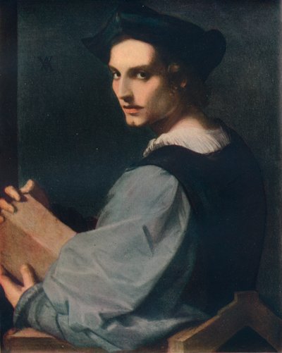 Retrato de un Joven, c1517, 1911 de Andrea del Sarto