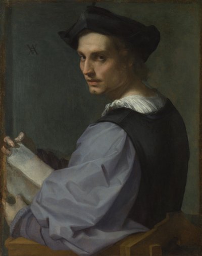 Retrato de un Joven, ca 1518 de Andrea del Sarto