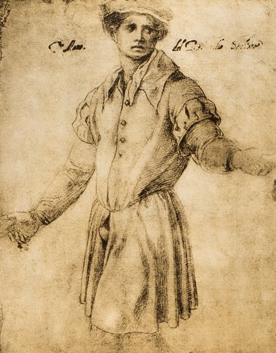 Retrato de un joven florentino de Andrea del Sarto