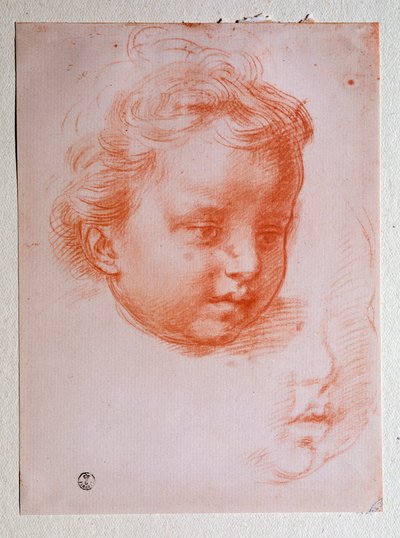 Cabeza de putto de Andrea del Sarto