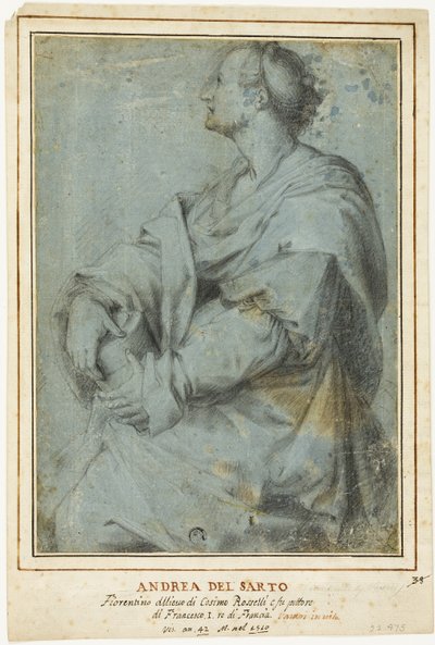 Santa María Magdalena de Andrea del Sarto