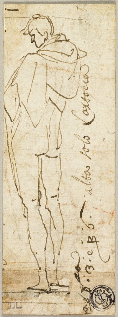 Desnudo masculino de pie de Andrea del Sarto
