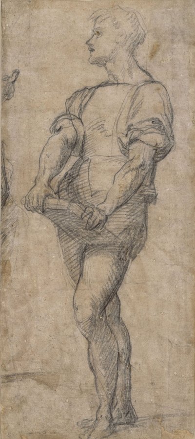 Joven de pie sosteniendo un libro, ca 1515 de Andrea del Sarto