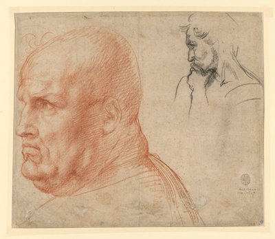  de Andrea del Sarto