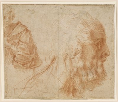  de Andrea del Sarto