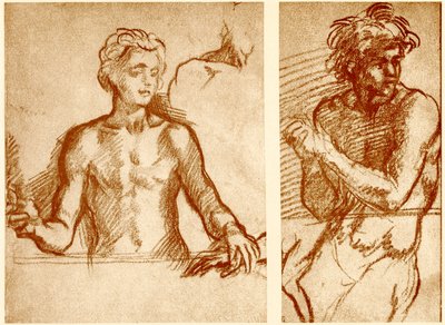 Estudios sobre la figura de Cristo de Andrea del Sarto