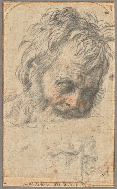 Estudio para la cabeza de San José (anverso); dos estudios de piernas (reverso) de Andrea del Sarto