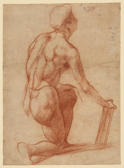  de Andrea del Sarto
