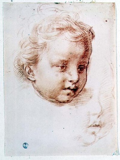 Estudio de la cabeza de un niño de Andrea del Sarto