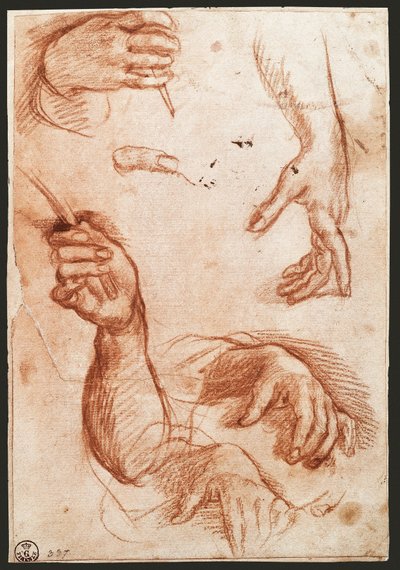 Estudio de manos de Andrea del Sarto