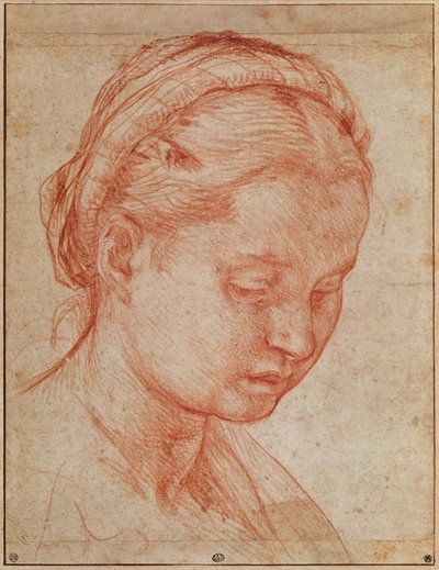 Estudio de la cabeza de Santa Catalina para la Deposición con la Virgen María y Santos en el Palacio Pitti (detalle) de Andrea del Sarto