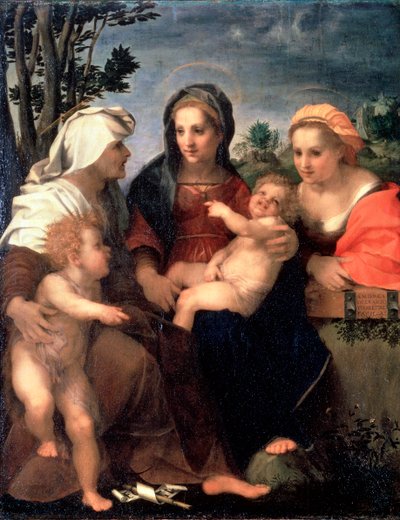 Virgen y Niño con las Santas Catalina, Isabel y Juan el Bautista, 1510s de Andrea del Sarto
